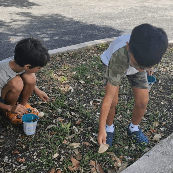 Elementary Drop-off Days | Grades K-5th - Image 7