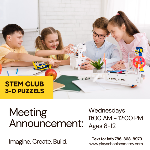 STEM Club - 3-D Puzzles - Wednesdays - 11-12PM - Ages 8-12